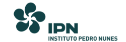 Instituto Pedro Nunes logo